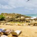 Thaproban Pavilion Resort & Spa 5* — Унаватуна, Шри-Ланка