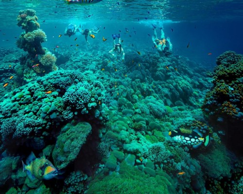 InterContinental Maldives Maamunagau Resort, Раа Атолл