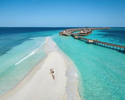 Joali Maldives 5* на Раа Атолле: что важно знать перед бронированием