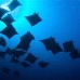 Rihiveli The Dream, Maldives — отель 3* на Маафуши