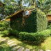 DenDi Bungalow 3* на Фукуоке: честный обзор