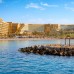 Hilton Hurghada Plaza 5* в Хургаде: пляж в 50 метрах