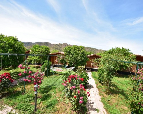 Lemon Garden Lodge (Чиралы, Кемер): честный обзор без прикрас