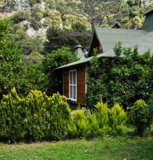 Arcadia Villas