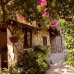 Hotel Villa Monte, Кемер: обзор от турагента Галины