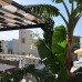 Bodrum Holiday Villas — отдых в Бодруме