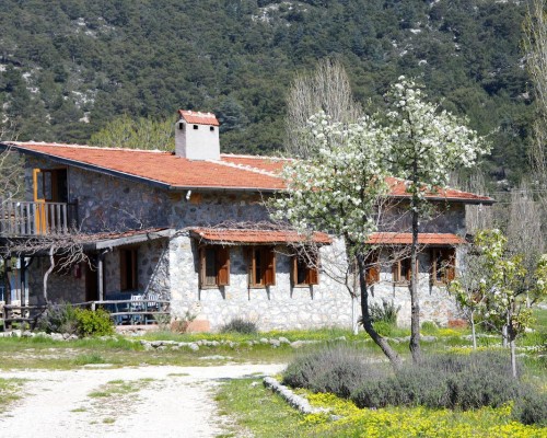 Blacktree Farm and Cottages, Олюдениз
