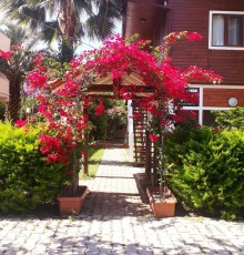 Palm Konak Hotel
