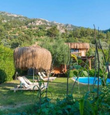 Pure Life Organic Villa
