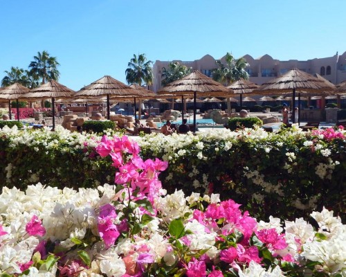 Palmyra Club Amar El Zaman, Шарм-эль-Шейх