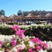 Palmyra Club Amar El Zaman, Шарм-эль-Шейх