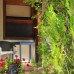 Hobbit Evi в Чиралы: подбор тура с персональным агентом