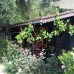 Altinkum Bungalows Hotel, Сиде: подбор тура у персонального агента