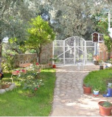 Butterfly Guest House