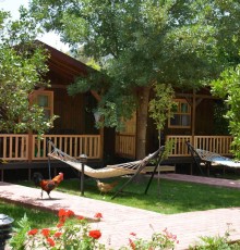 Caretta Caretta Pension