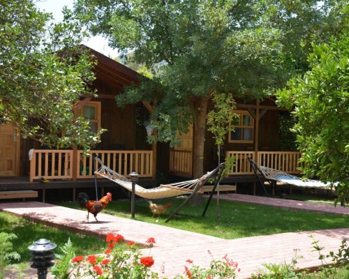 Caretta Caretta Pension — уютный пансион в Чиралы (Кемер, Турция)