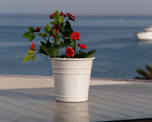 Elaria Hotel Hurgada 3* — отель в Хургаде