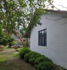 Cirali Friends Pension&Camping