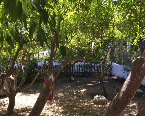 Villa Onela, Тургутреис — подбор тура у Галины