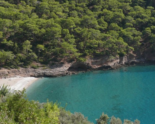Kabak Avalon Bungalows — бунгало в горах над бухтой Кабак, Олюдениз