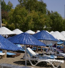 Arriba Pension & Restaurant