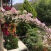 Veranda Hotel, Ичмелер — взгляд турагента
