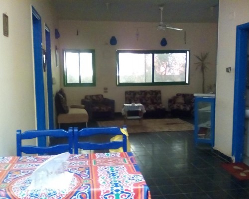 Sea Waves Hostel в Хургаде: что это за место