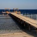 The Oasis 3* в Марса Аламе: честный обзор для дайверов