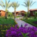 Aida Hotel, Чиралы (Кемер): честный обзор и подбор тура