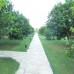Merhaba Hotel, Чиралы (Кемер): мой экспертный взгляд