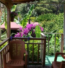 Naz Apartlari Cirali