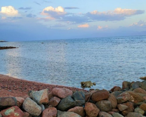 Ghazala Hotel в Дахабе: спокойный отдых у моря