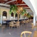 Illusion Beach Club Hotel Only Adult в Аланье: подбор тура для взрослых