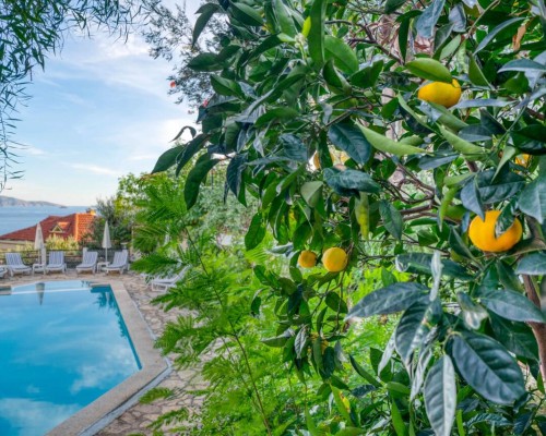 Patara Delfin Hotel, Каш — виллы с бассейном и панорамой моря