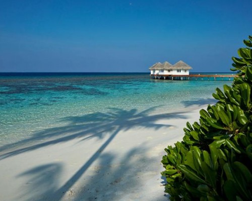 Loama Resort Maldives at Maamigili 5* — Раа Атолл