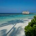Loama Resort Maldives at Maamigili 5* — Раа Атолл
