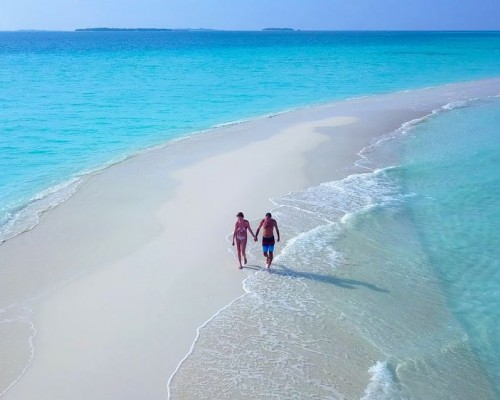 Aveyla Manta Village 3* — Дхаравандху, Баа Атолл