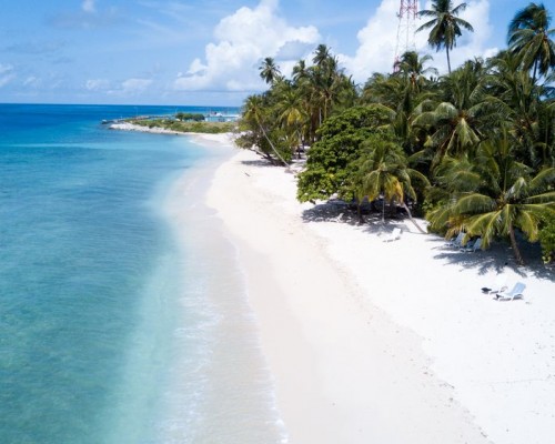 Aveyla Manta Village 3* — Дхаравандху, Баа Атолл