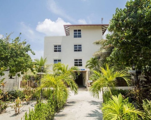 Ariston Maldives в Ари Атолле: гостевой отель на Дейнджти
