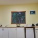 Dive Villa, Thoddoo — гестхаус 3* на Ари Атолле