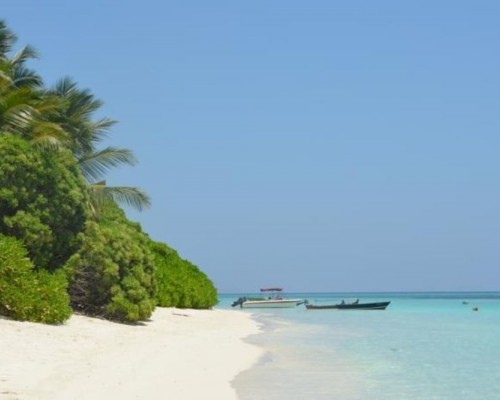 Dive Villa, Thoddoo — гестхаус 3* на Ари Атолле