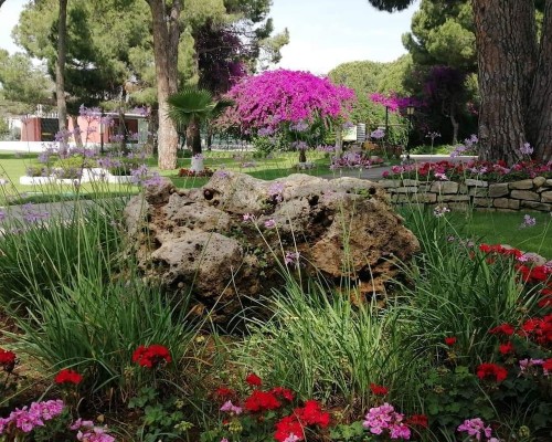 Sun Club Belek 3* — подбор тура в Белек с персональным агентом