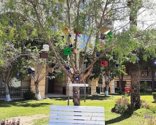 Sun Club Belek 3* — подбор тура в Белек с персональным агентом