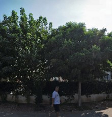 Villa Luxury 4*