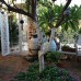 Lemon Villa Boutique Hotel 5* в Аланье — подбор тура от Галины