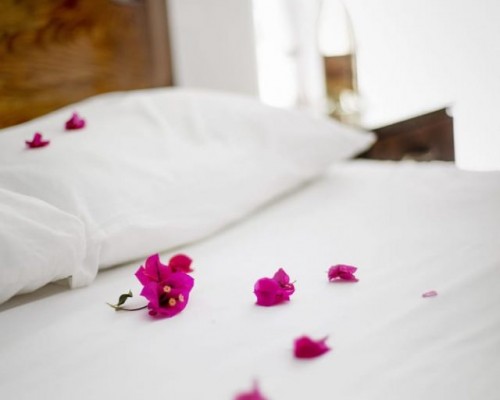Flower Pension 2* в Каше: честный обзор