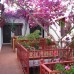 The Lifeco Bodrum Beach 3* — отель в Бодруме для пляжного отдыха