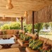 Lemon Garden Hotel 2* в Бодруме: честный обзор от турагента