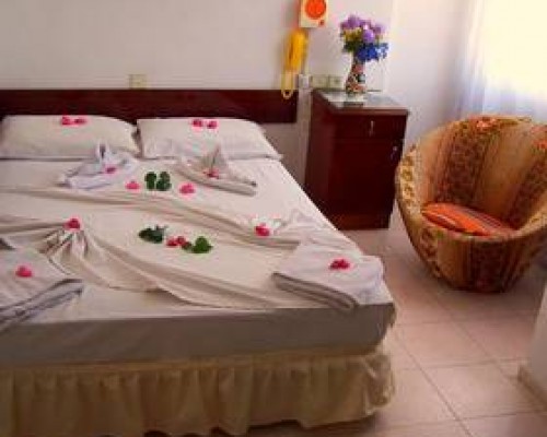 Villa Fortin Pansiyon 3* — Кушадасы, Турция