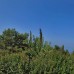 Venti Hotel Luxury Kusadasi — отель 3* в Кушадасы